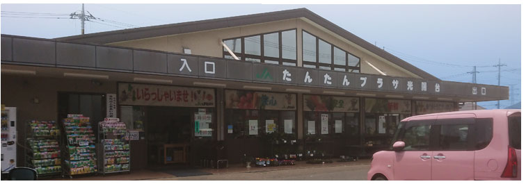 【中古】 驚き、桃の木、山椒の木/文芸社/王城恋多 中古】 驚き、桃の木、山椒の木/文芸社/王城恋多