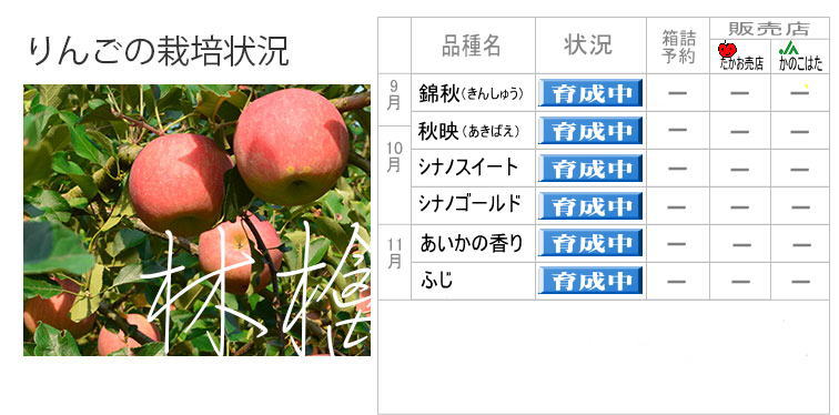 ��񂲂͔̍|��