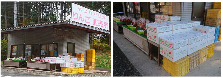【中古】 驚き、桃の木、山椒の木/文芸社/王城恋多 楽天市場】桃 白鳳 白桃 和歌山 お中元 ギフト 特秀 2kg 6玉